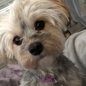 Meet your Posher, Lori